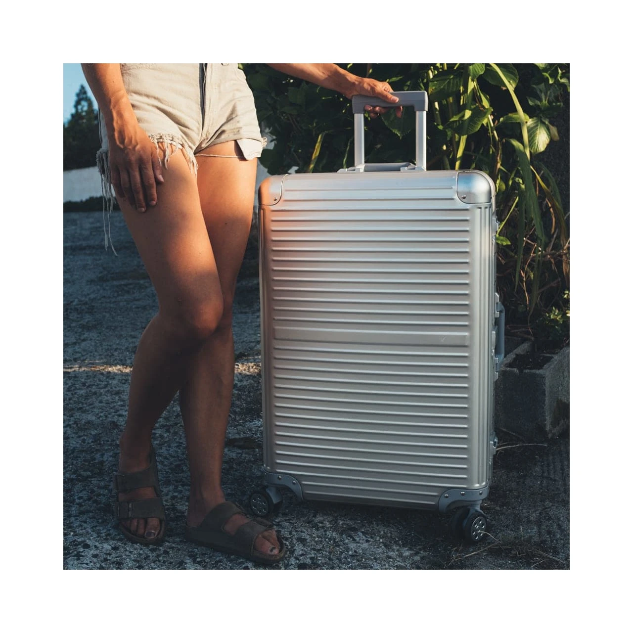 Arctic Tern Alu Trolley M 8 Arctic Tern Alu Trolley M - Billede 6