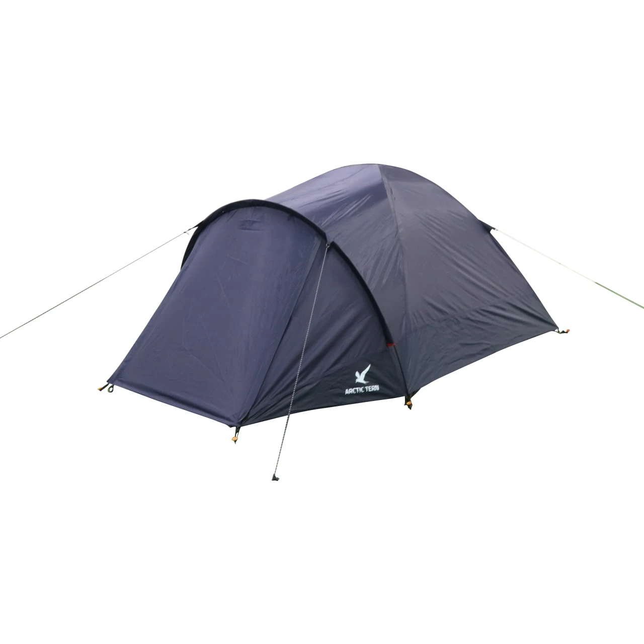 Arctic Tern Camp 3 4 Arctic Tern Camp 3 - Billede 2