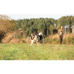 Garmin Alpha T20 GPS Collar Nordic -Salomon shop garmin alpha t20 gps collar nordic black 6