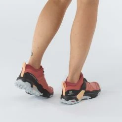 Salomon Women's X Ultra 4 42 Salomon Women's X Ultra 4 -Salomon shop salomon women s x ultra 4 brick dust 5